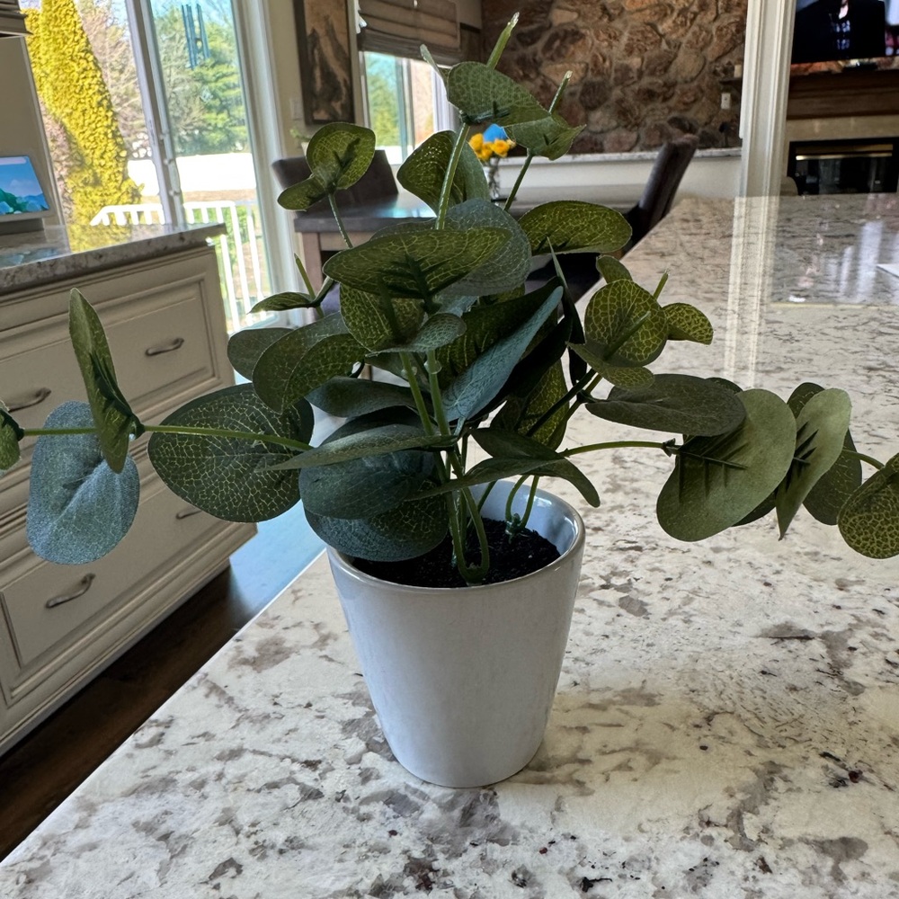 Faux plants / faux flowers / home accents / home decor